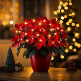 Strahlende Rubin-Weihnachtsstern